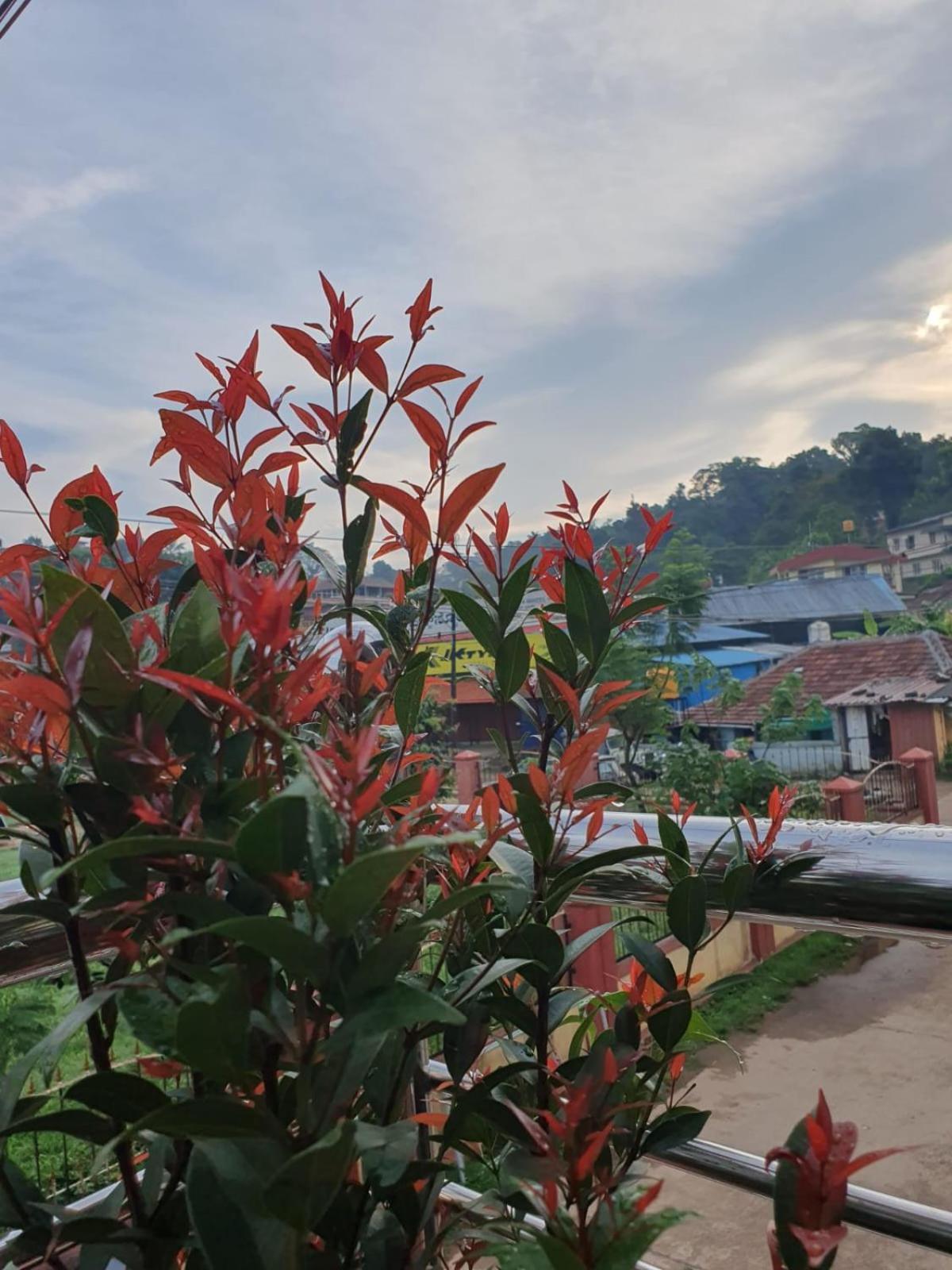 Varam Homestay マディケーリ エクステリア 写真